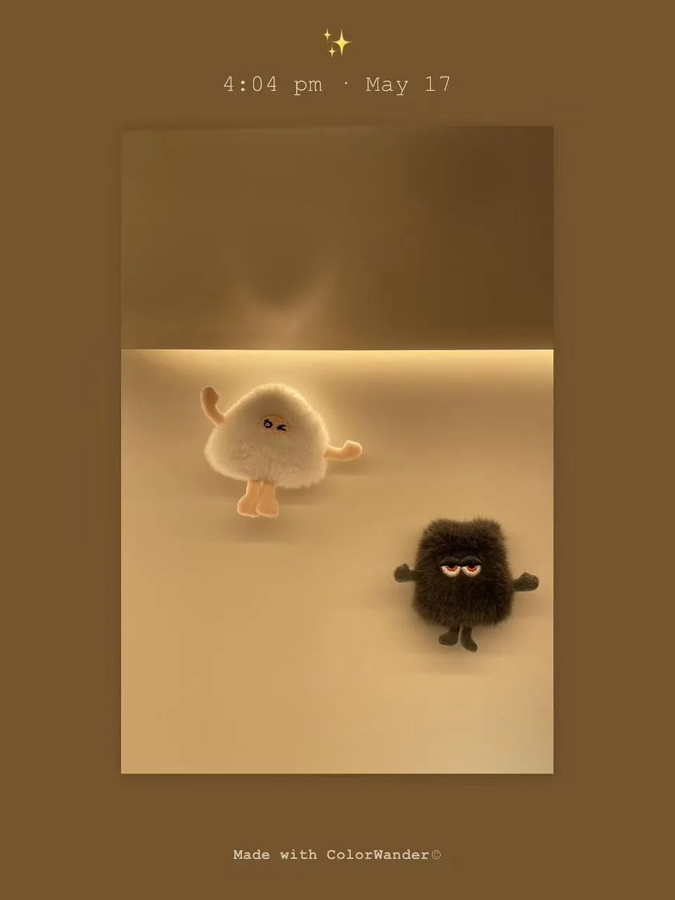 毛茸茸的世界
